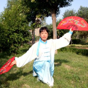 ѩ48ʽ̫˫ ---̫ȭƵƷ