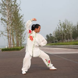 طʽ̫ȭϼһ·---̫ȭƵƷ