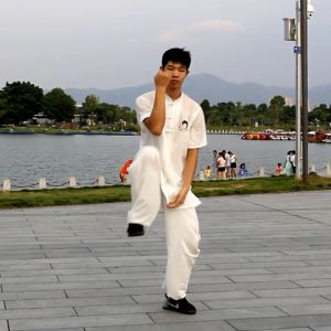 ׯʽ̫ȭϼܶ· ---̫ȭƵƷ