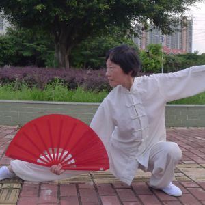 ʮʽʽ̫ ---̫ȭƵƷ