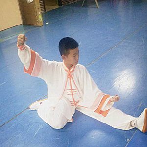 Ӷʽ̫ȭϼܶ· ---̫ȭƵƷ