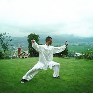 ΰʽ̫ȭʮʽ ---̫ȭƵƷ