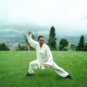 ʽ̫ȭʮʽ---̫ȭƵƷ