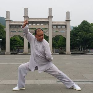 ׺ʽ̫ȭͳ·---̫ȭƵƷ