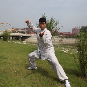 һʽ̫ȭͳ·---̫ȭƵƷ