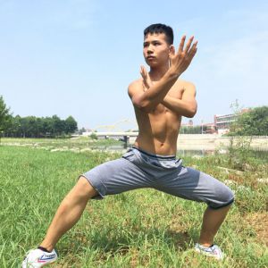 ⽨³ʽ̫---̫ȭƵƷ