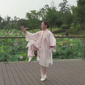 42ʽ̫ȭʽ̫ȭϼһ·ʽ40ʽ̫ȭ ---̫ȭƵ ...