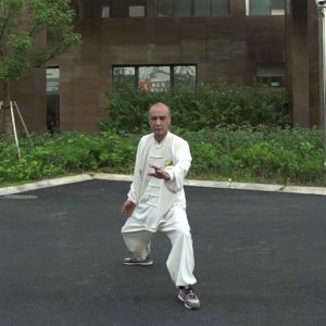 ¿³ʽ̫ȭϼһ·---̫ȭƵƷ