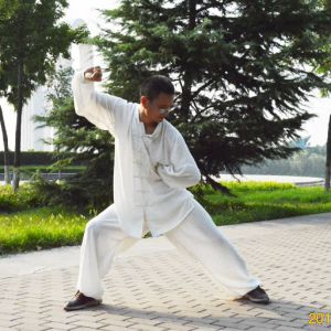 ʽ̫ȭϼһ·---̫ȭƵƷ