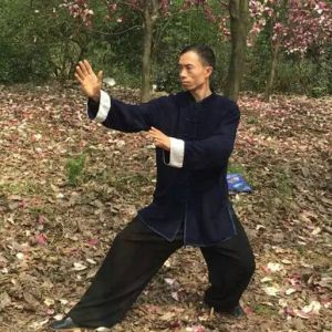 ŲŴͳʽ̫ʮʽ---̫ȭƵƷ