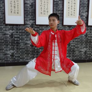 Һʽͳȭʽ̫---̫ȭƵƷ