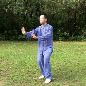 ʽ̫ȭϼһ·---̫ȭƵƷ