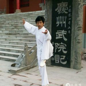 Ԫ̫ȭо2017ٳǧ̫ȭչݻ