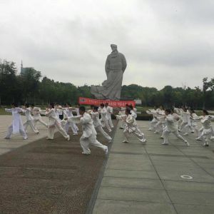 ƸԳ±̫2017ٳǧ̫ȭչݻ