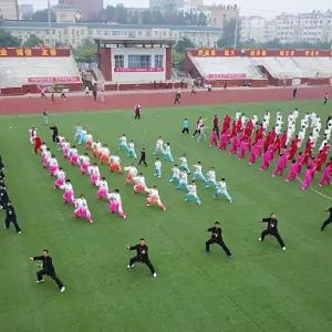 ٳǧ̫ȭչݻվ  ˲  ̫