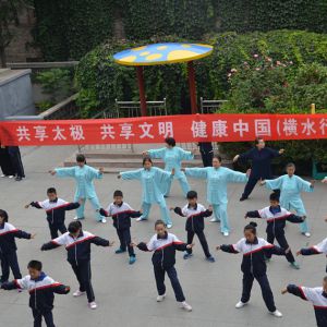 2017ٳǧݱ ɭ̫ȭϵؿɽˮվ