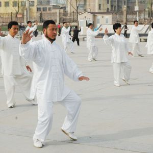 2017ٳǧݱ ɭ̫ȭϵؿվ