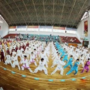 2017ٳǧ̫ȭչݽʡżҸվչ ߳