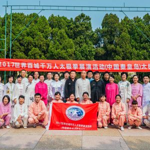 2017ٳǧ̫ȭչݻ йػʵ̫ɽվ˳