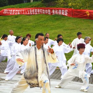 ̫ 2017ٳǧ̫ȭչݹվԲɹ