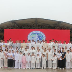 ˼䶯̫ 2017ٳǧ̫ȭչվ