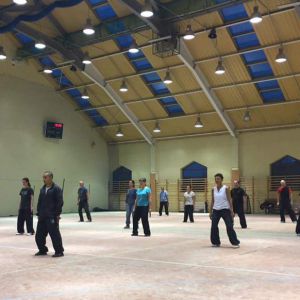 2017̫ȭٳǧչݻ ˷Эʢᣬʢ