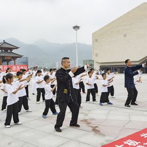 ̫ 2017ɭ̫ϵٳǧ̫ȭչݻվ