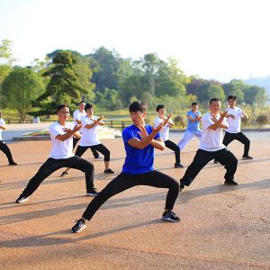 2017ɭ̫ϵٳǧ̫ȭչݻվ