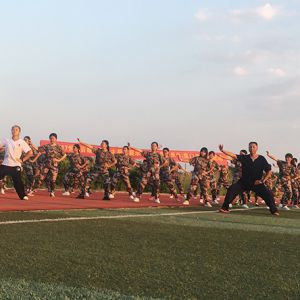 2017ɭ̫ϵٳǧ̫ȭչݻվ