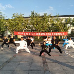 2017ɭ̫ϵٳǧ̫ȭչݻվ