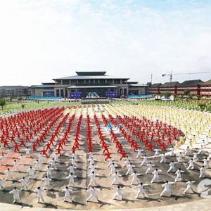 ӳ¼ҹȫ硪۽һһ·ϵٳǧ̫ȭչ