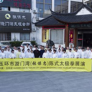 ̫ 2017ٳǧ̫ȭչݣ㽭վ