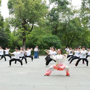 ʢ  2017̫ȭٳǧչݻվ