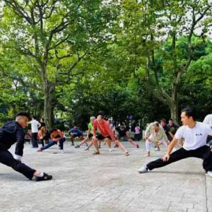 ����̫��ȭ���š��Ϻ���̫��ȭ��Я���ﰺ��ѧԺ���ݰٳ�ǧ����̫��ȭ�