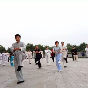 2017±ԺĵڶڵӰСѵ