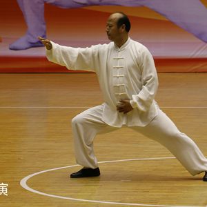 ʯׯ籭2017괫ͳ̫ȭԲĻ