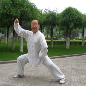 ̫֧ϵܳţ ֮ʸ־崫̫