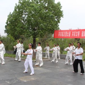 շվ2017ٳǧ̫ȭչƵ