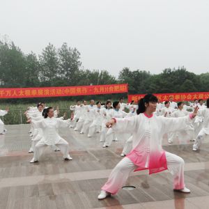 պϷվ̫ȭЭᡪ2017ٳǧ̫ȭչƵ