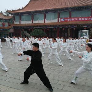 Ҷ̫2017ٳǧ̫ȭչƵ