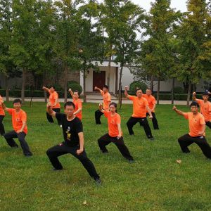 ˺վ2017ٳǧ̫ȭչƵ