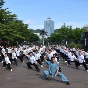 ųС̫2017ٳǧ̫ȭչƵ