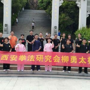 Ȫվ2017ٳǧ̫ȭչƵ