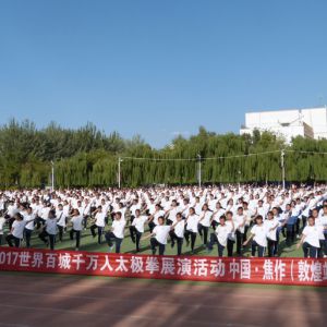 ػվ2017ٳǧ̫ȭչƵ