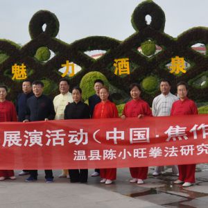 Ȫվ2017ٳǧ̫ȭչƵ