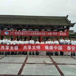 ˮվ2017ٳǧ̫ȭչƵ