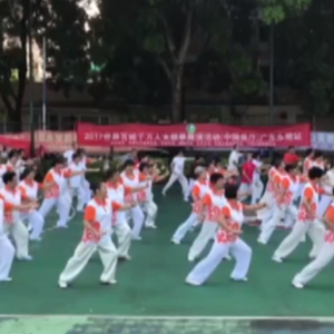 㶫ݸ̩վ2017ٳǧ̫ȭչƵ