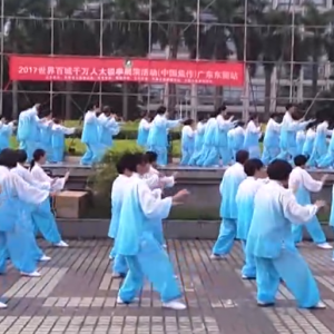 㶫ݸݸվ2017ٳǧ̫ȭչƵ