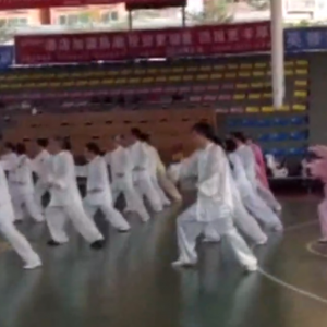 㶫ݸվ2017ٳǧ̫ȭչƵ