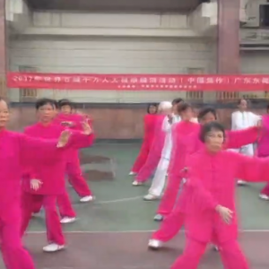 㶫ݸʯվ2017ٳǧ̫ȭչƵ